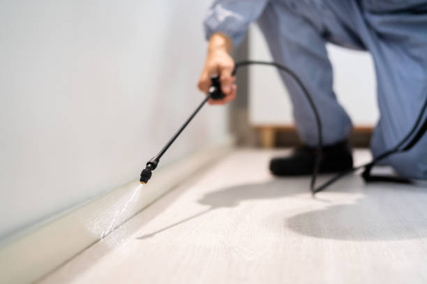 Licensed Termite Control service in Norman, OK - Nex Pest Control