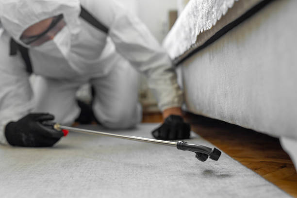 Professional Termite Control technician working in Norman, OK