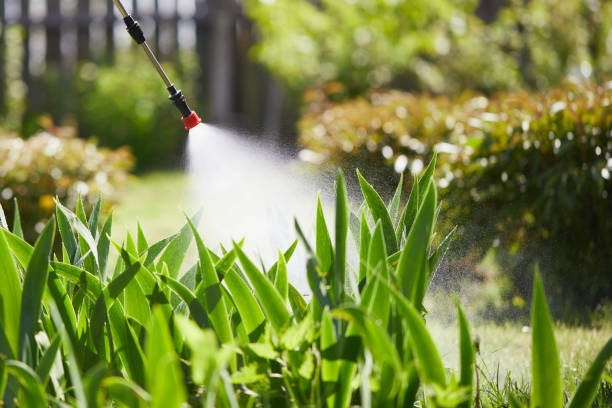 24/7 Emergency Termite Control experts in Norman, OK