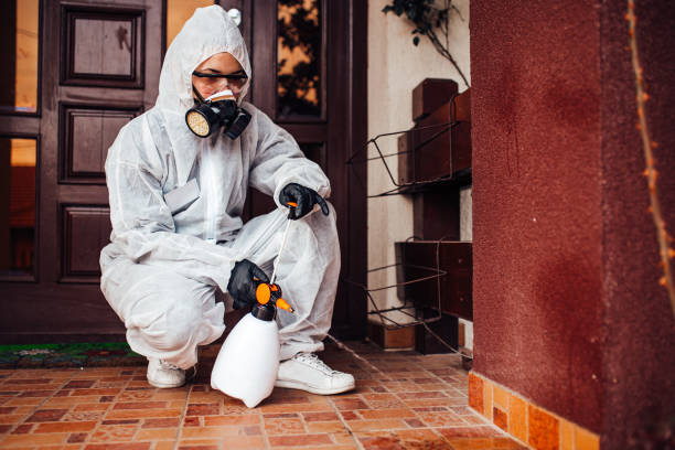 Reliable Termite Control contractor in Norman, OK by Nex Pest Control