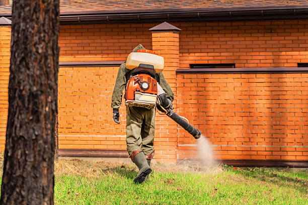 Top rated local Termite Control specialists in Norman, OK